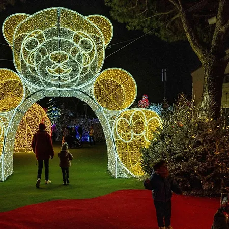 Palmyra-8 By Interhome Apartment